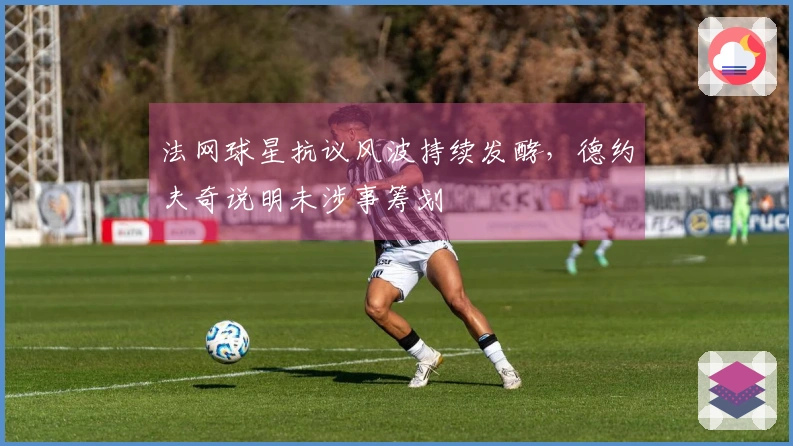 法网球星抗议风波持续发酵，德约夫奇说明未涉事筹划